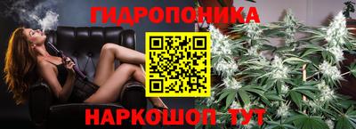 спайс Берёзовский