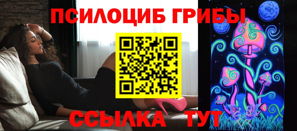 Каменск-Уральский  Галлюциногенные грибы прущие грибы  Галлюциногенные грибы Cubensis  Вход с VPN 